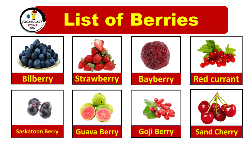 List of Berries (Berries Names With Pictures) Vocabulary Point