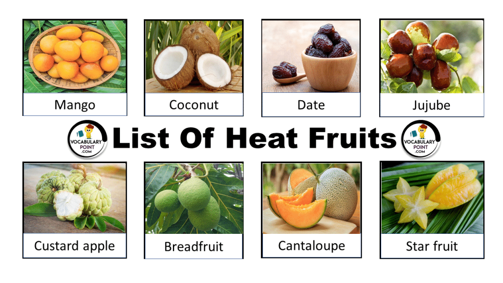 Heat Fruits List Vocabulary Point