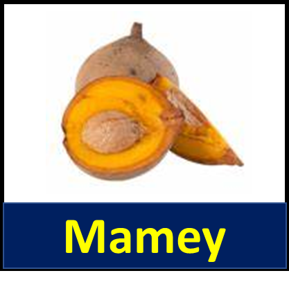 Mamey