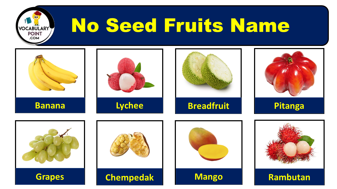 No Seed Fruits Name List