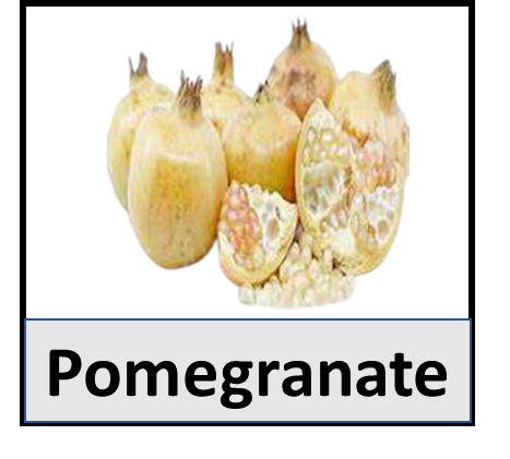 Pomegranate