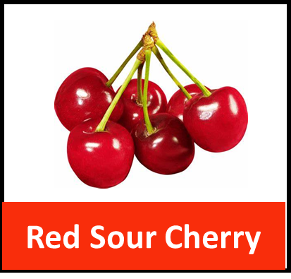 Red Sour Cherry