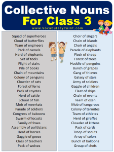 Collective Nouns For Class 3 (With Meaning and Examples) - Vocabulary Point