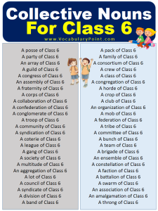 Collective Nouns For Class 6 (With Meaning and Examples) - Vocabulary Point