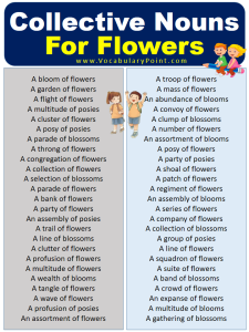 Collective Nouns For Flowers (With Meaning and Examples) - Vocabulary Point