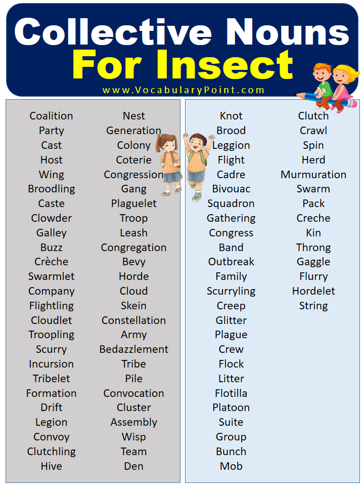 What is the Collective Noun For Insects