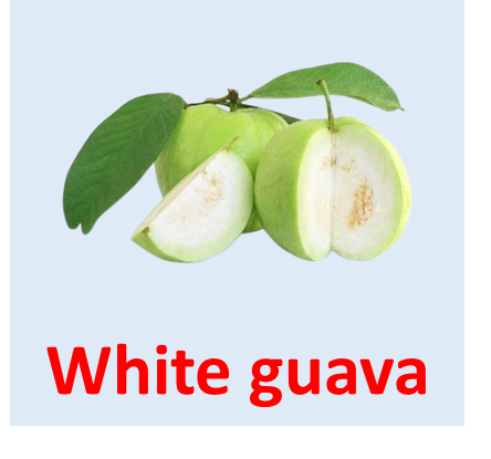 White guava