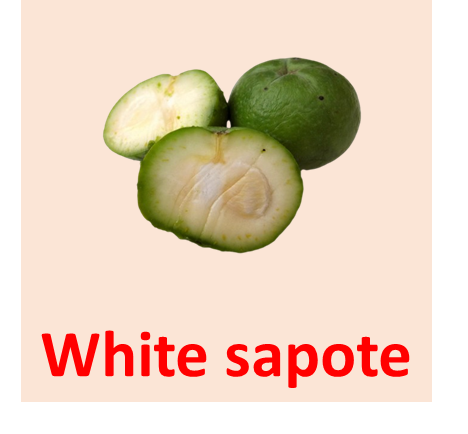 White sapote