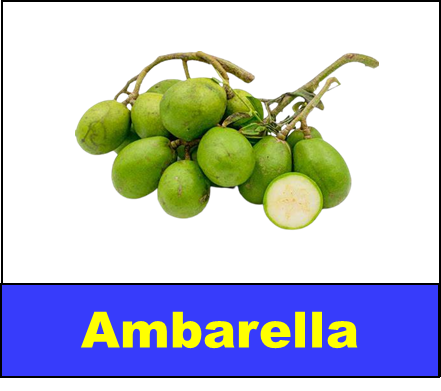 Ambarella
