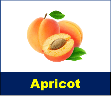 Apricot