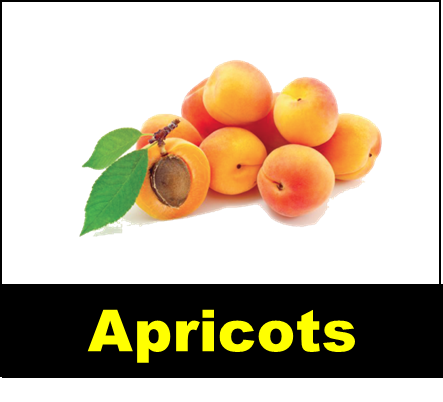 Apricots