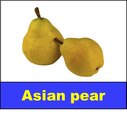Asian pear