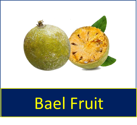 Bael Fruit