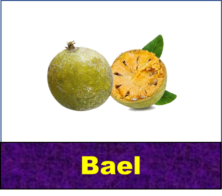 Bael