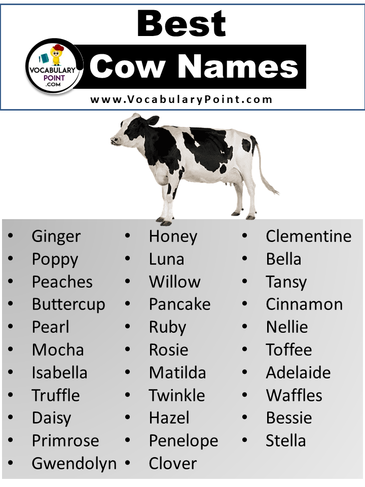 Best Cow Names