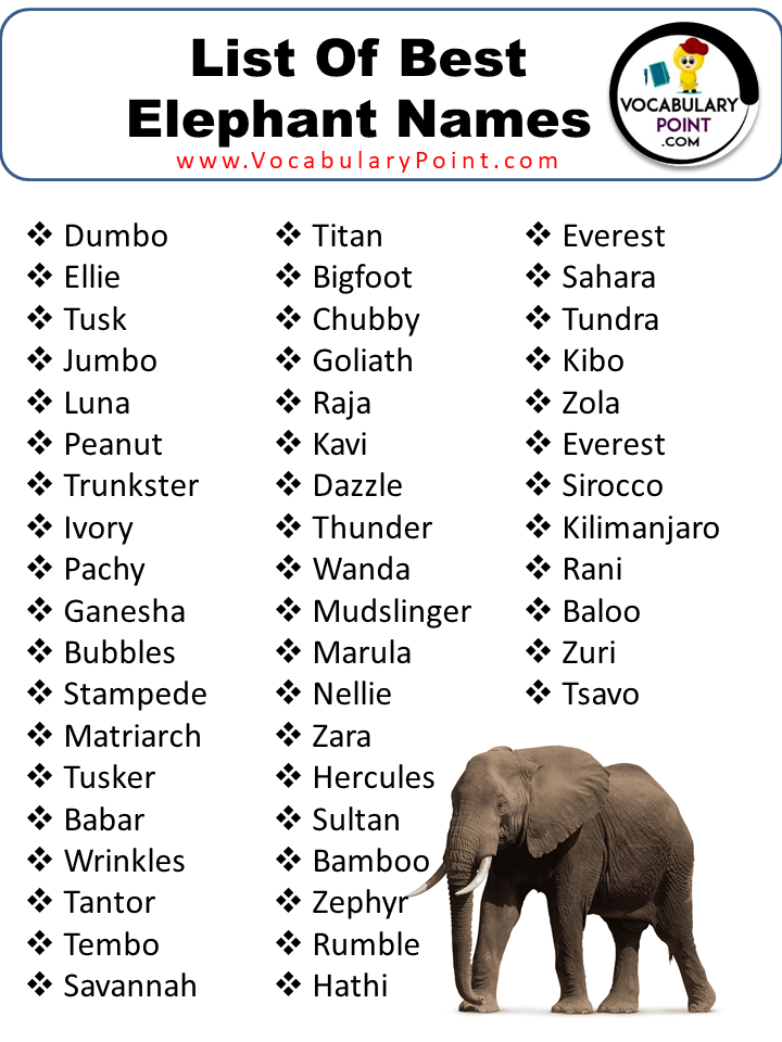 Best Elephant Names