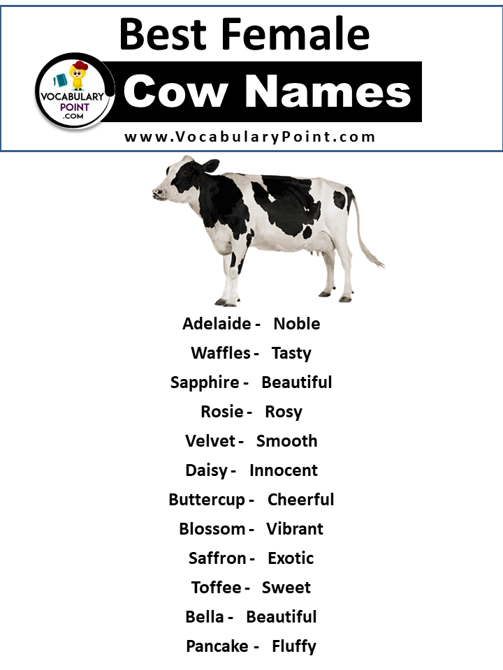 Best Female Cow Names