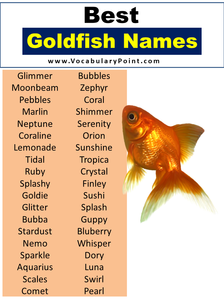 Best Goldfish Names
