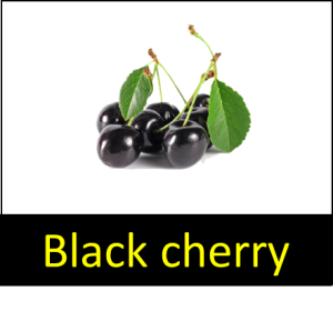 Black Fruits Names (List of Black Fruits) - Vocabulary Point