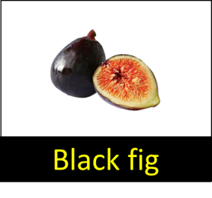 Black Fruits Names (List of Black Fruits) - Vocabulary Point