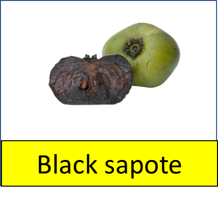 Black sapote