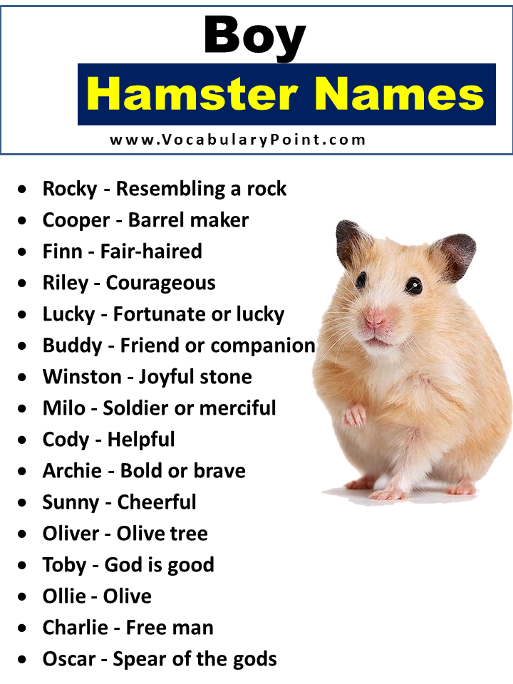 hamster name generator