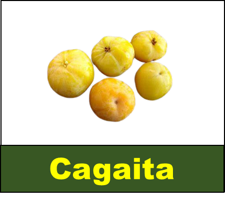 Cagaita