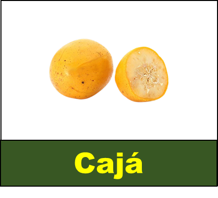 Cajá