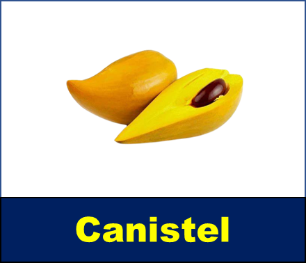 Canistel