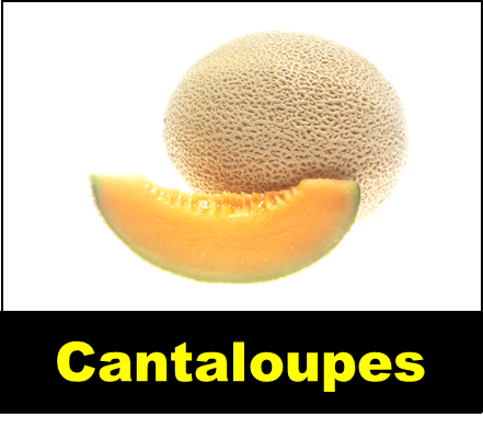 Cantaloupes