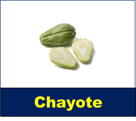 Chayote