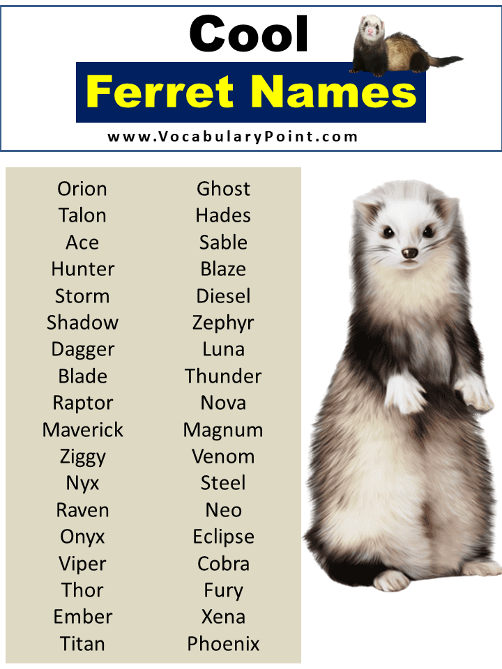 Cool Ferret Names