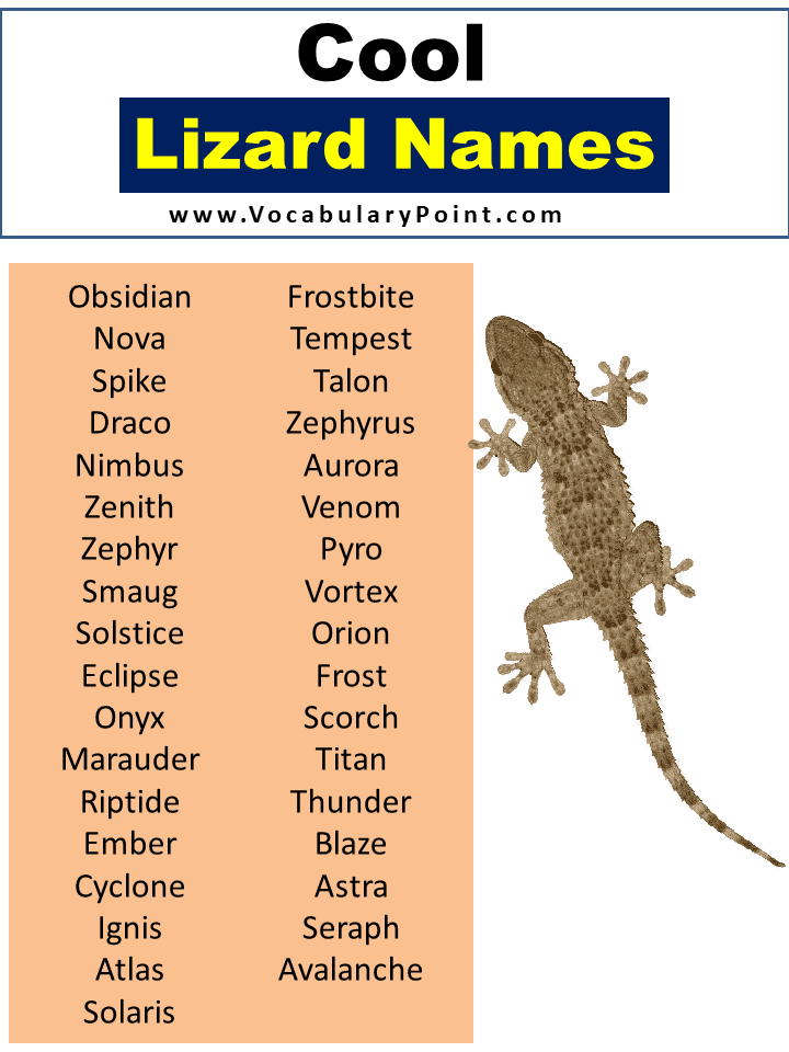 350+ Top Lizard Names (Best, Cute, Funny And Pet) - Vocabulary Point