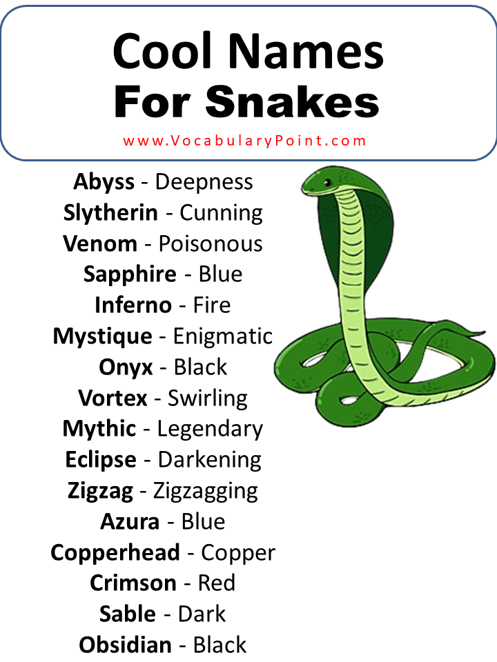 Cool Names For Snakes
