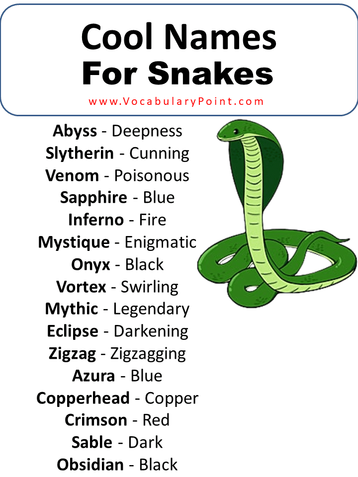 450+ Best Snake Names (Pet,Funny,Cool & Badass) - Vocabulary Point