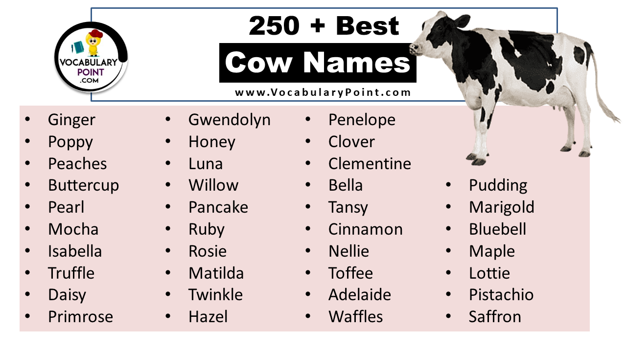Cow Names