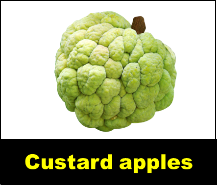 Custard apples