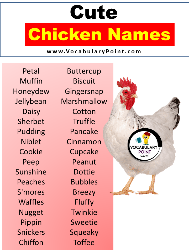 Cute Chicken Names
