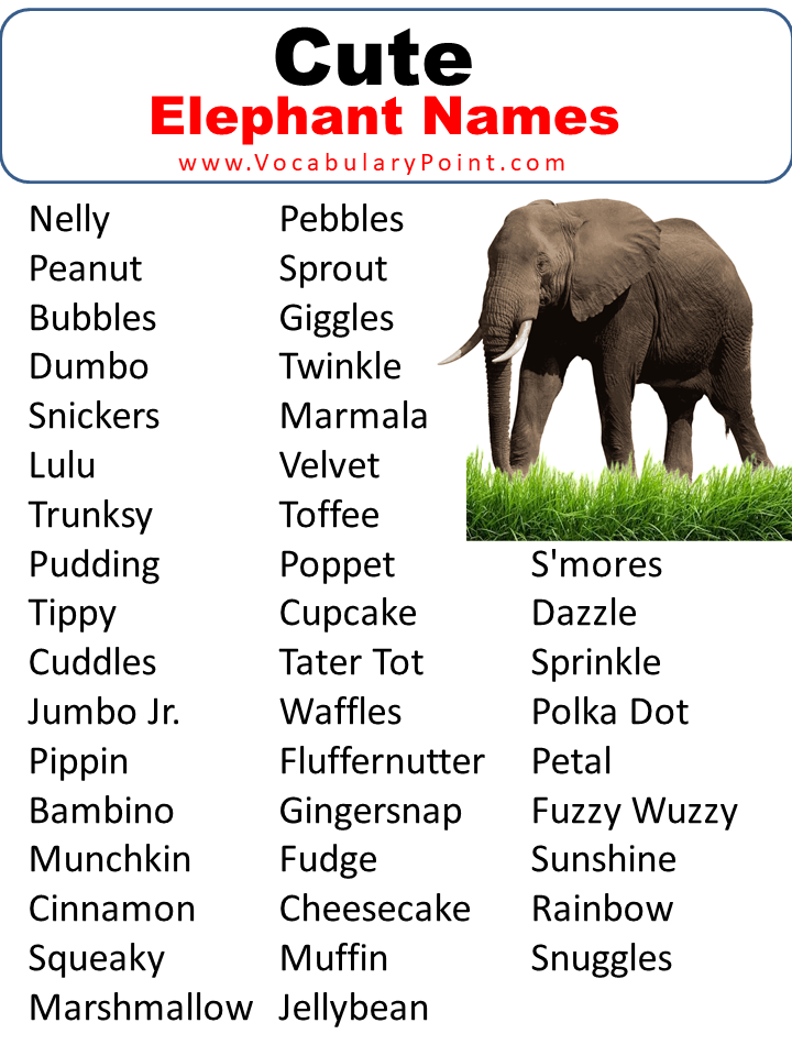 Cute Elephant Names