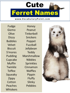 450+ Best Ferret Names (Cute, Cool and Pet) - Vocabulary Point