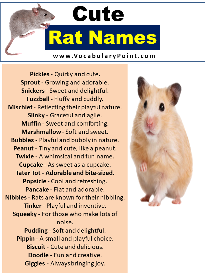 Cute Names For Rats