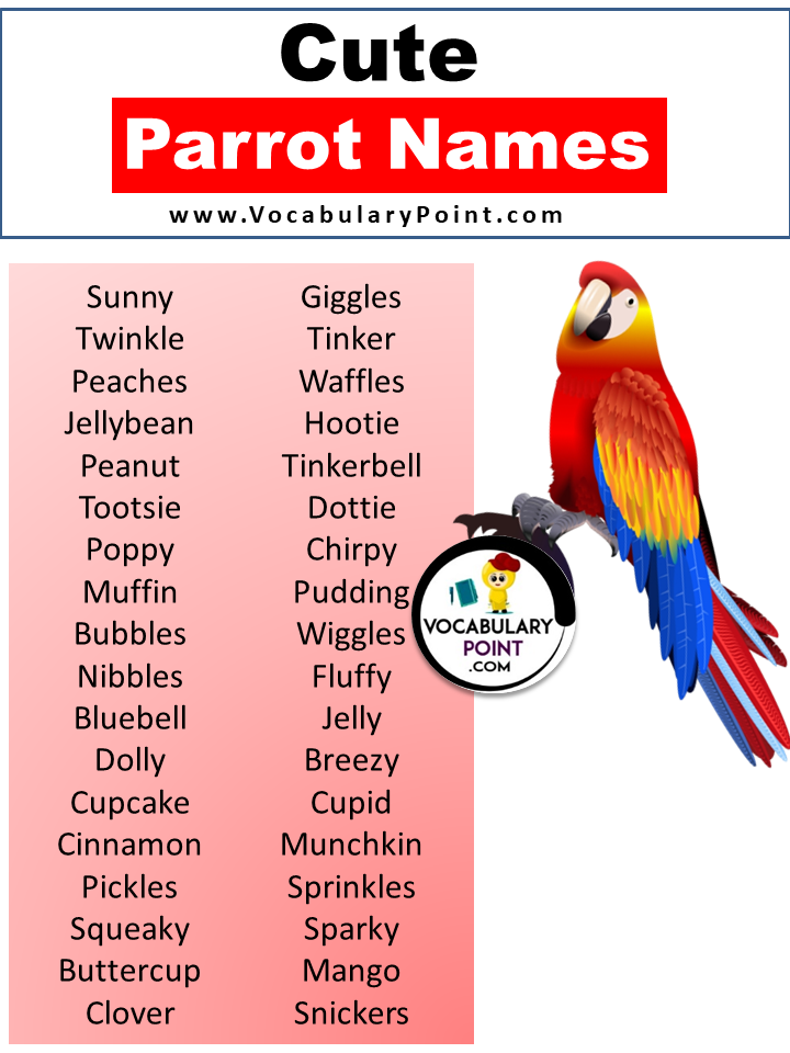 Cute Parrot Names