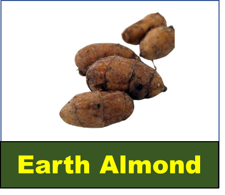 Earth Almond