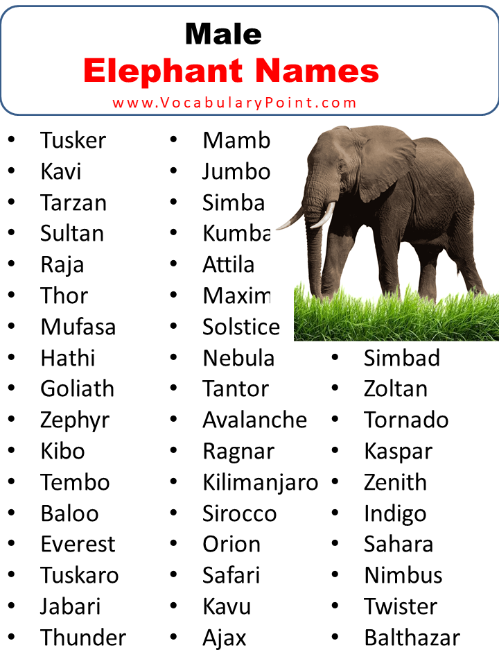 Elephant Names Male