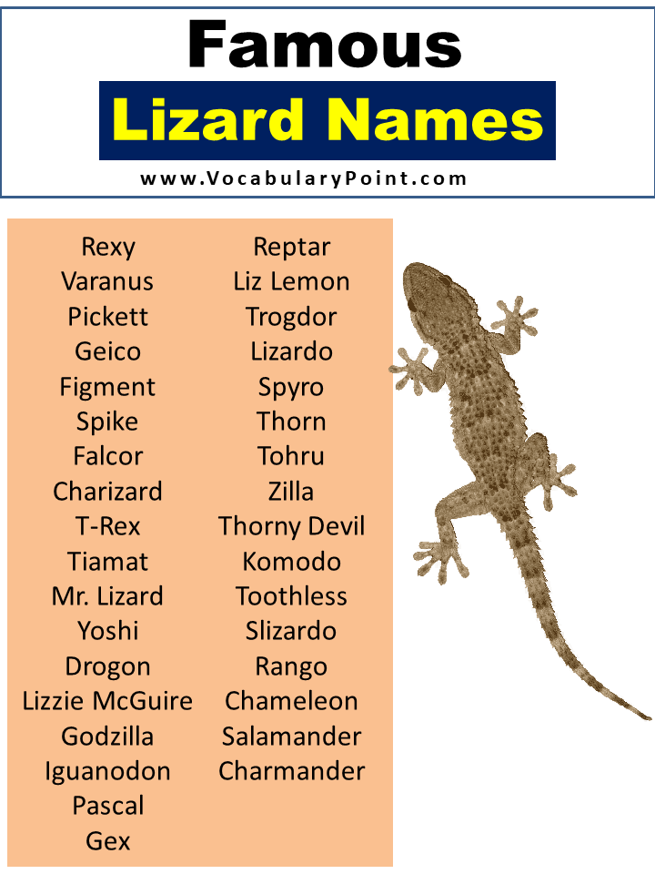 350 Top Lizard Names Best Cute Funny And Pet Vocabulary Point