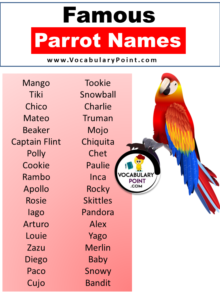 Famous Parrot Names