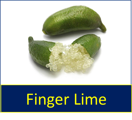 Finger Lime