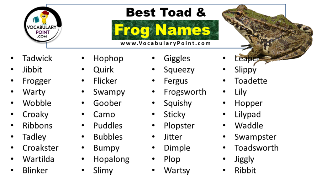 Frog Names Best Funny Cute Male And Female Vocabulary Point