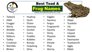Frog Names (Best, Funny, Cute, Male & Female) - Vocabulary Point