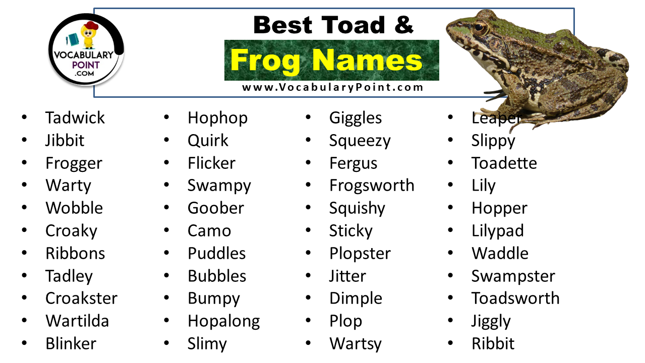 Frog Names Best Funny Cute Male Female Vocabulary Point
